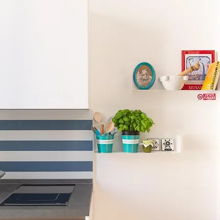 Sea & Culture - 5 Terre