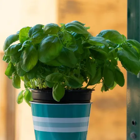 Appartement Sea & Culture - 5 Terre *