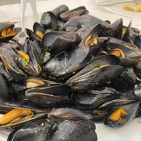 Sea & Culture - 5 Terre