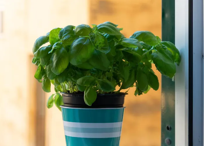 Appartement Sea & Culture - 5 Terre *